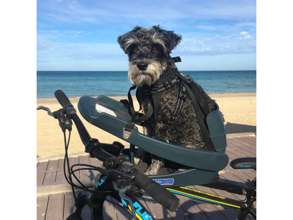 Buddyrider - Cykelsæde til hund - Grå
